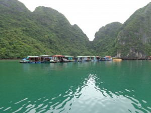 世界遺産　ベトナム・ハロン湾を救え！環境改善プロジェクト